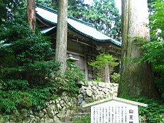 house and trees